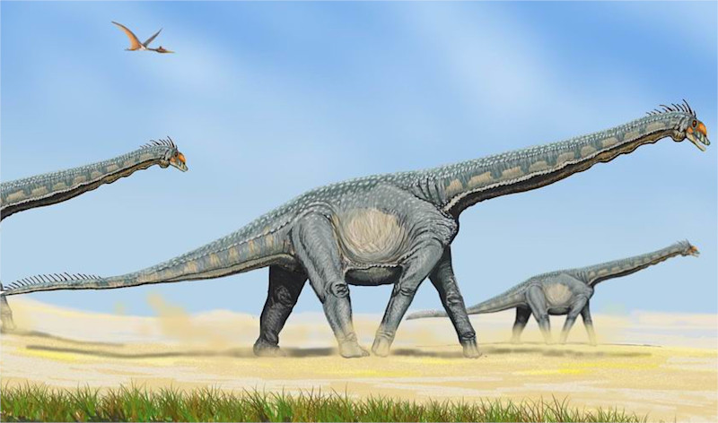 alamozaur szkic graficzny