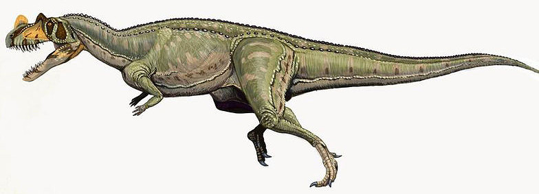 ceratosaurus