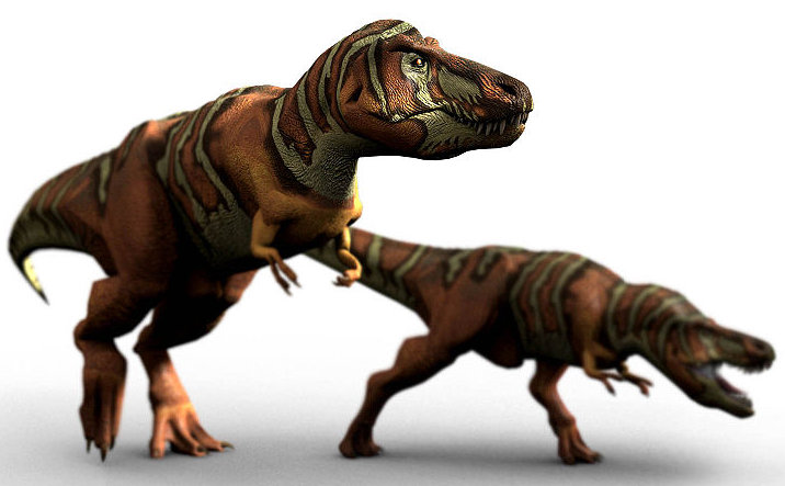 dwa tyranozaury