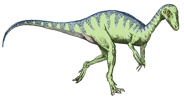 eoraptor - wygląd dinozaura