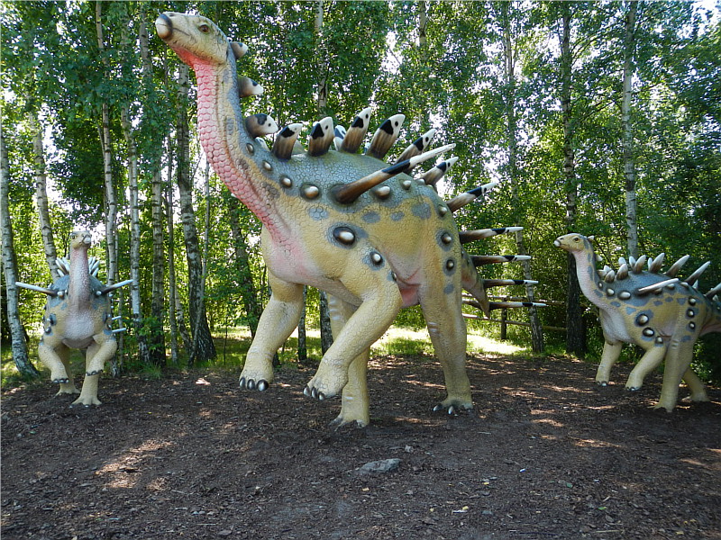 kentrozaury, rodzina dinozaurów