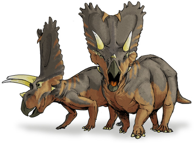pentaceratopsy