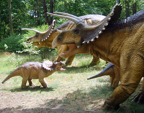 triceratops jurapark