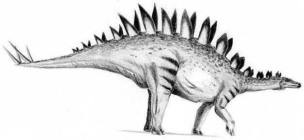 tuojiangosaurus