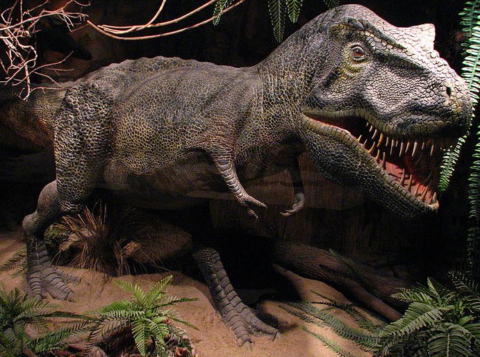 tyranozaur w ZOO
